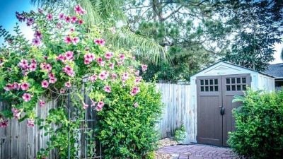 shed builder